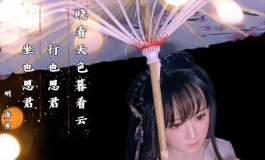 【春水堂】155身体浅川
