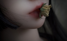 玩家返图丨寒冬已至，愿美好如期而至