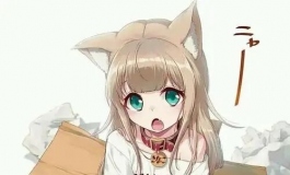金三风铃COS 40原猫娘：黄豆粉（多图警告）