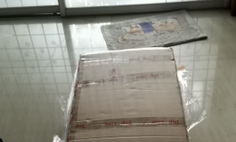 新入的洛紫，Lolita装