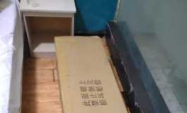 美造人全硅胶163艾美头开箱
