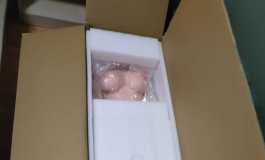 美造人全硅胶163艾美头开箱