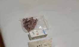 美造人全硅胶163艾美头开箱