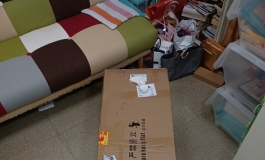 155F淺川妹子到家了~