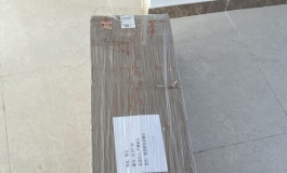 先纳信米婷开箱，刚刚发错版块了