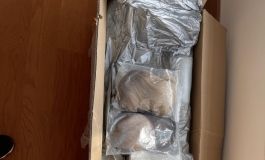 先纳信米婷开箱，刚刚发错版块了