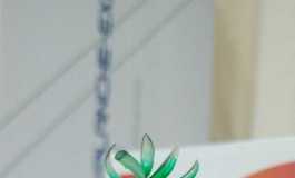 #第三届摄影大赛#【次元人偶】番茄娘