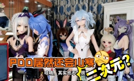 【闲谈】我抄袭了你抄袭我的抄袭事件