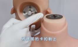 星艺人型—头部活动、装卸及假发的佩戴视频教程