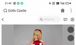 Dolls Castle