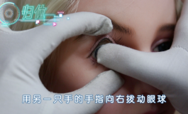 星艺人型-眼球调节教程