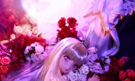 #第三届摄影大赛#【次元人偶】魔女之夜
