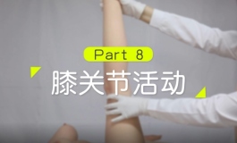 星艺人型——身体可活动范围展示视频