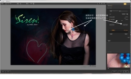 新-學到了系列1: Siren照片的降噪聲處理～