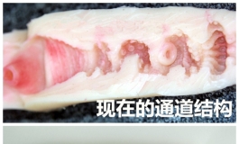 四年共勉，不忘初心--先纳信马上四周岁啦！
