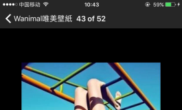 先纳信和人造人哪个性价比更高，大佬们