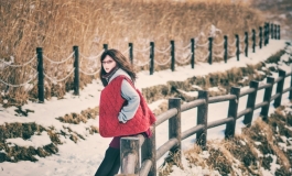 Winter scenes