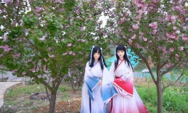 小雪八周年|夏日盛荷古风