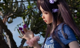 花丛中的蝶宝宝