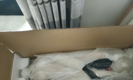 来个150C浅川的开箱贴