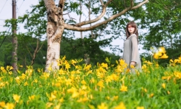 Enjoy spring flowers