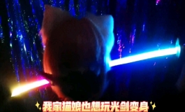 光剑变身，但是是猫娘