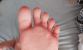 醉雨楼可爱的豆包到家了