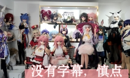 实体娃娃品牌八卦解说（下）