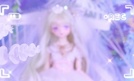 25块的bjd，我想不出更好的标题栏=L=摆烂宣传视频