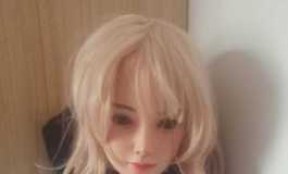 彼之良冬青2.0