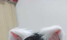 谁会拒绝可爱的小猫咪呢