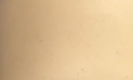谁还不是个睫毛精 太阳花睫毛