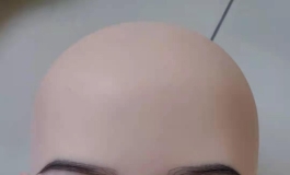 毁娃解剖学第二弹，解剖头部