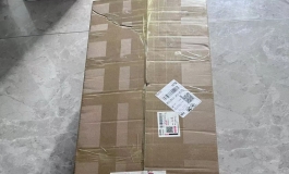 爱莎贝尔102小娃开箱，附个小十四对比照