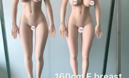 145b，150c，155c，160d/f，165c，168c身体对比图