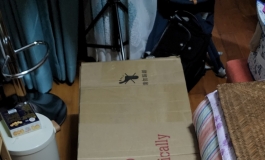160m的四妹来给我送生日礼物啦