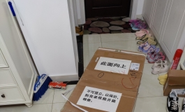 星艺人型 萃 开箱 有机硅胶PRO “五花肉”