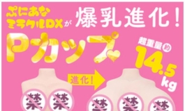 EXE爆乳升级双穴半身DX 14.5公斤深度测评-PDF打印版 机翻 84页