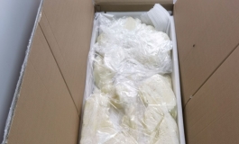老色批娃娃到家，先打卡后研究！