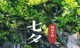 七夕来一个