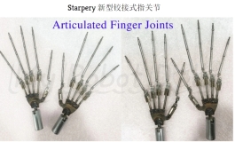 Starpery 性玩偶是谁家的？