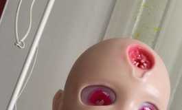 【首届咕咕参赛篇】六元素家的胸像