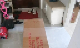 时隔一年再玩娃。堇堇堇简单开箱。