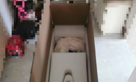 时隔一年再玩娃。堇堇堇简单开箱。
