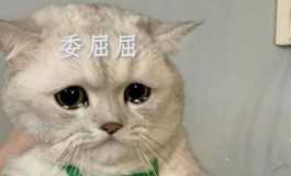 求大家推荐一款半身