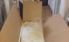 对爱丽丝真的顶不住了