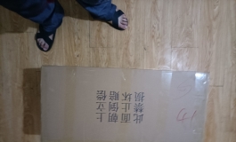 新人帖，俊影香草头巨乳半身开箱