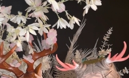 【魔族人形】145cm 瑶 手机实拍