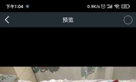 娃娃体验